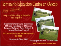 Adiestramiento canino en asturias, oviedo talleres y seminarios educacion canina