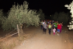 Marcha nocturna caminomorisco