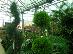 Invernadero de plantas ornamentales del botanico