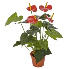 Plantas artificiales con flores planta artificial anthur en lallimonacom