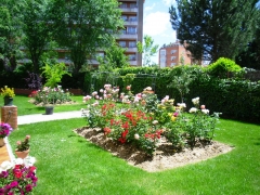 Foto 684 residencias tercera edad - Residencia Geriatrica las Rosas Madrid