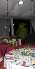 Foto 198 salones de boda en Castellón - Celebrity Lledo