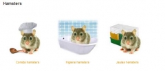 Hamsters: comida para hamsters, jaulas para hamsters, higiene de tu hamster, todo online!