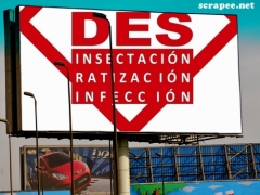 Foto 11 servicios de desinsectación en Zamora - Deslaceyca Servicios Ambientales sl