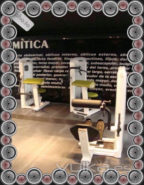 Equipamiento para gimnasios