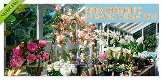 Próximamente, Nueva Colección Primavera-Verano 2012