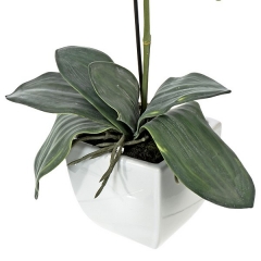 Plantas artificiales con flores planta orquidea artificial fucsia en lallimonacom (2)