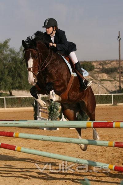 Escuela de equitación en Murcia, escuela de hipica murcia, yeguada murcia, campeon de España de salt