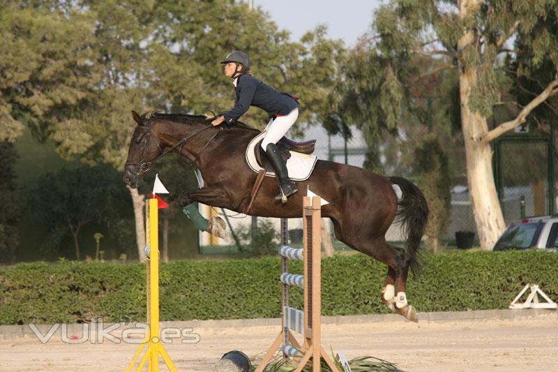 Escuela de equitación en Murcia, escuela de hipica murcia, yeguada murcia, campeon de España de salt