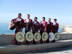 Mariachis