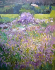 Flores violetas en malaga