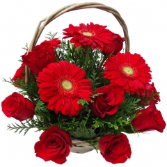 Rosas rojas y gerberas rojas en una cesta de flores especial