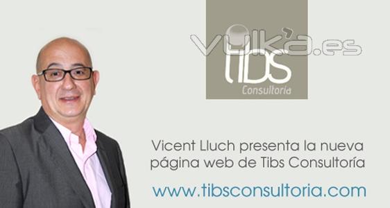 TIBS CONSULTORIA