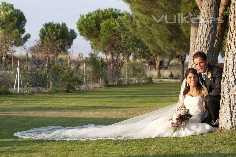 Novios posando junto a un árbol.