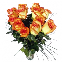Regala rosas a domicilio rosas bicolor para enviar flores online