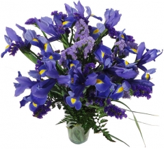 Ramo de estatices e iris  enviar y regalar flores a domicilio con la mejor floristeria online