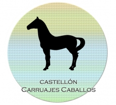 Foto 316 salones de boda en Castellón - Carruaje Caballos Castellon
