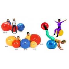 Balones para ejercicios de entreno + de 20 y rehabilitacion
