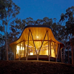 Casa tronco un diseno con aires de arquitectura organica by paul morgan architects