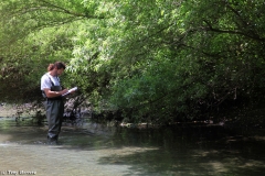 Inventariando la vegetacion de ecosistemas fluviales