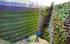 Dos verticales verdes el muro vegetal y el geomuro verde
