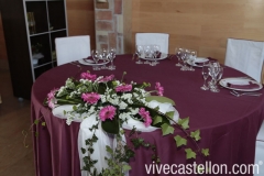Foto 292 banquetes en Castellón - Celebrity Lledo