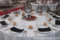 Foto 1183 servicio catering - Celebrity Lledo