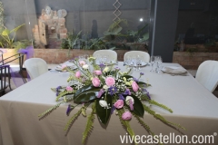 Foto 1184 servicio catering - Celebrity Lledo