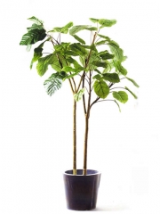 Planta artificial oasisdecorcom plantas artificiales de calidad