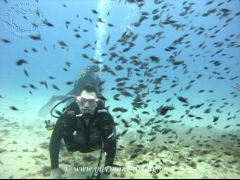 Foto 28 organización de viajes en Alicante - Mermaid Diving Moraira - Centro de Buceo