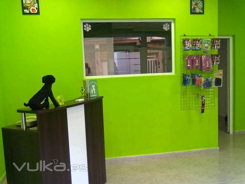 Interior y recepción de nuestra peluqueria