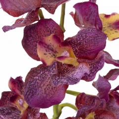 Plantas artificiales con flores planta orquidea artificial vanda malva 33 en la llimona home (1)