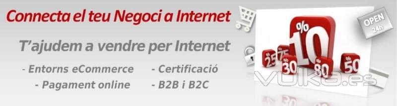 Ponemos tu tienda online en Internet