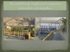 Foto 176 decoración jardines en Murcia - Servicons Abaran 2007, sl