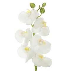 Flores artificiales rama orquideas artificiales latex junior crema hojas 58 en la llimona home (1)