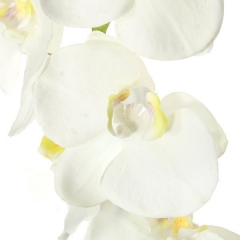 Flores artificiales rama orquideas artificiales latex junior crema hojas 58 en la llimona home (2)