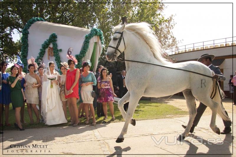 Reportaje Fotográfico de Boda - ©Cristina Mulet - Fotografía