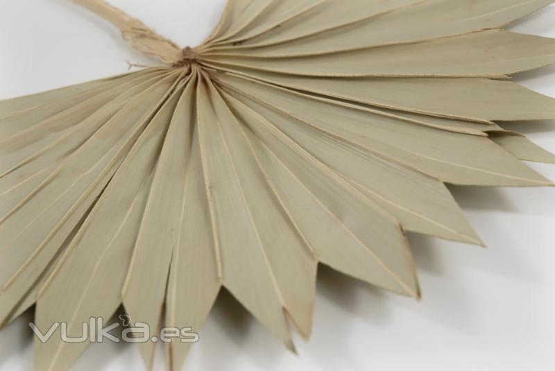 Original hoja de palmera para utilizarla como abanico en bodas en la playa