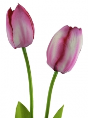Tulipanes artificiales de calidad tulipan artificial dos flores rosa oasiseoccom