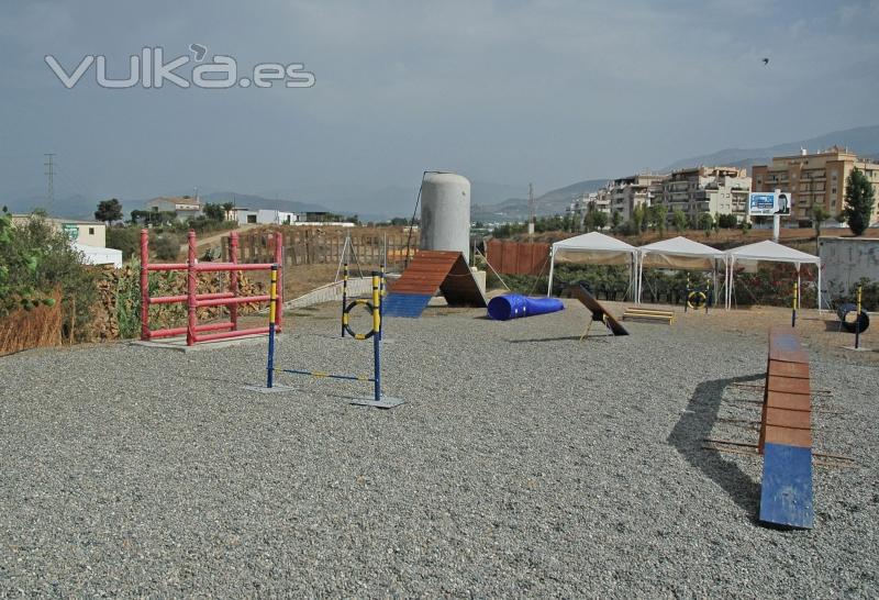 Escuela canina en Málaga: Torre del Mar