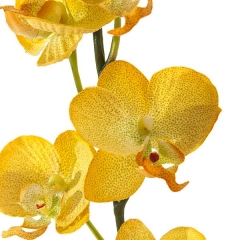 Flores artificiales rama flores orquideas artificiales pequenas amarillas hojas en la llimona (2)