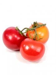 Tomate artificial tomates artificiales en rama oasisdecorcom