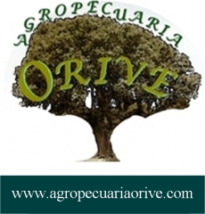 Foto 16 ganadería en Salamanca - Agropecuaria Orive