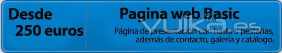 creacion paginas web