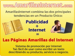 Publicidad + Internet