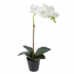 Planta flores orquideas artificiales blancas latex 42 en la llimona home