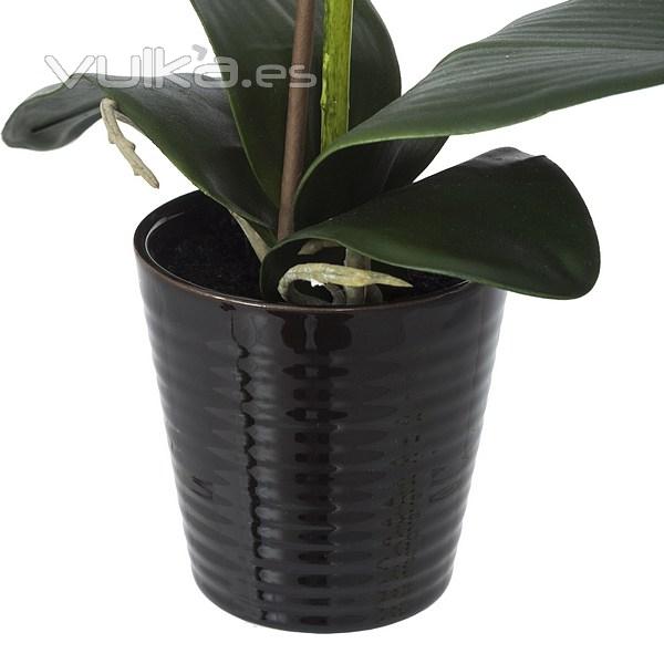 Planta flores orquideas artificiales blancas latex 42 en La Llimona home (2)