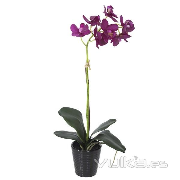 Planta flores orquideas artificiales lilas latex 42 en La Llimona home