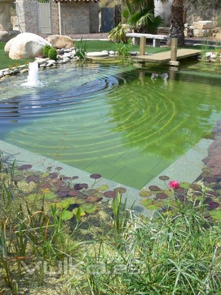 PISCINA ECOLOGICA REALIZADA EN TERRASSA