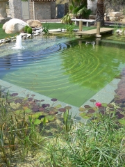 Piscina ecologica realizada en terrassa